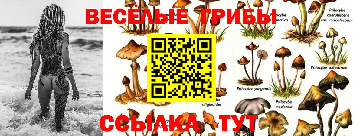 Галлюциногенные грибы Magic Shrooms  Вход с VPN  Находка 